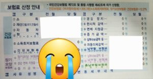 무소득자, 백수건강보험료