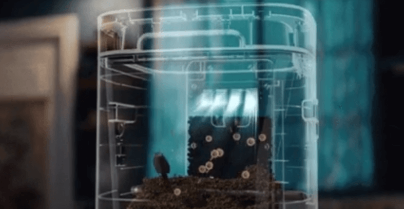 음식물처리기 지원금 지원기기