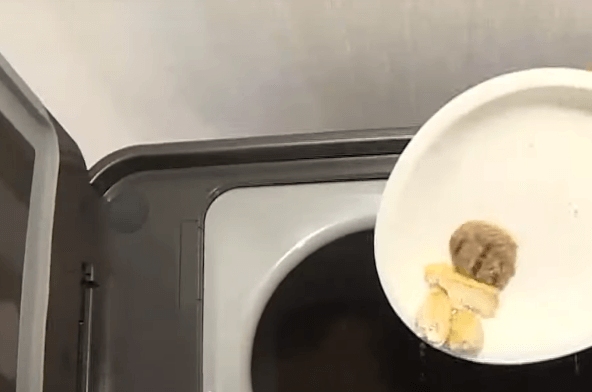 경기도 음식물 처리기 보조금 - 음식물 처리기 사용과정