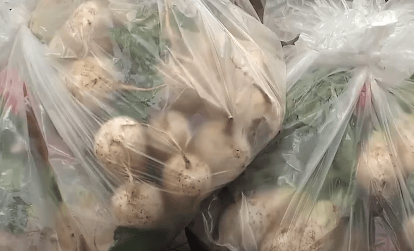 이마트 2023 김장대전 - 무