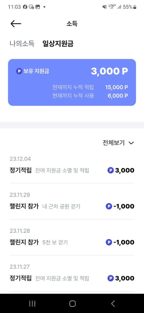 발로소득 일상지원금 적립 현황