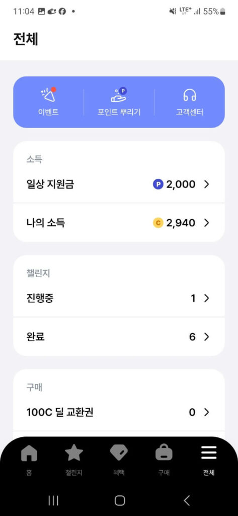 발로소득 일상지원금, 캐쉬