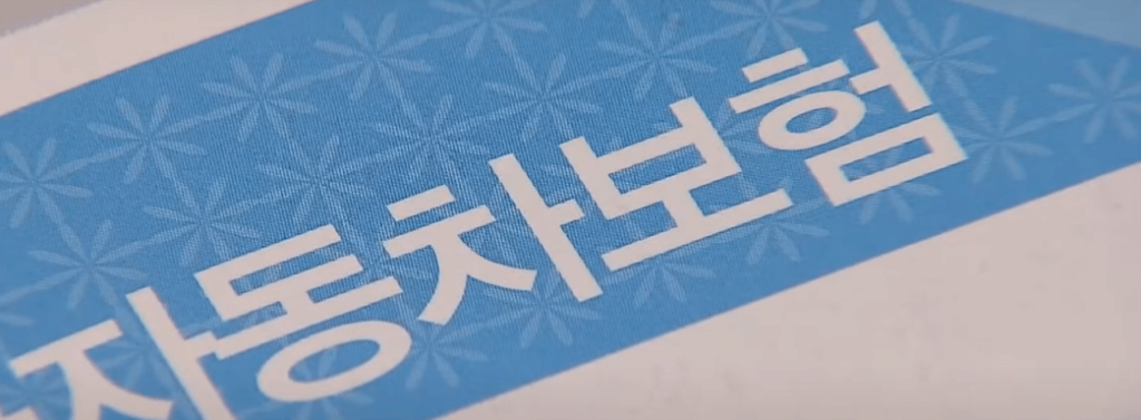 2024년 자동차보험 인하